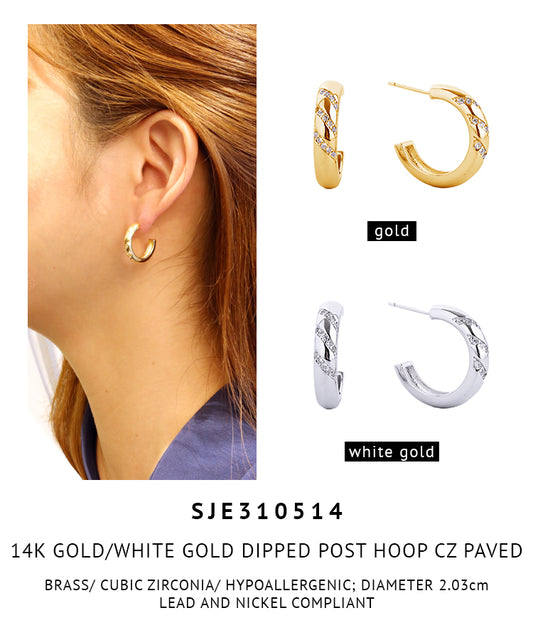 14K Gold Dipped Pave CZ Post Earrings