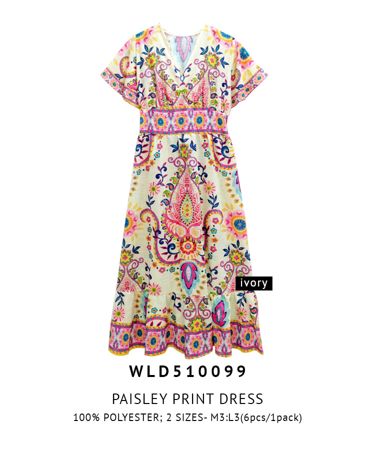 Paisley Print Dress