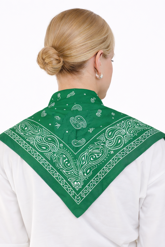 Paisley Print Triangle Scarf